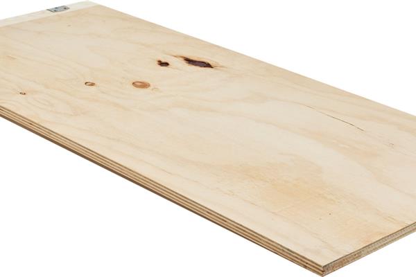 Elliotis Pine - CDX